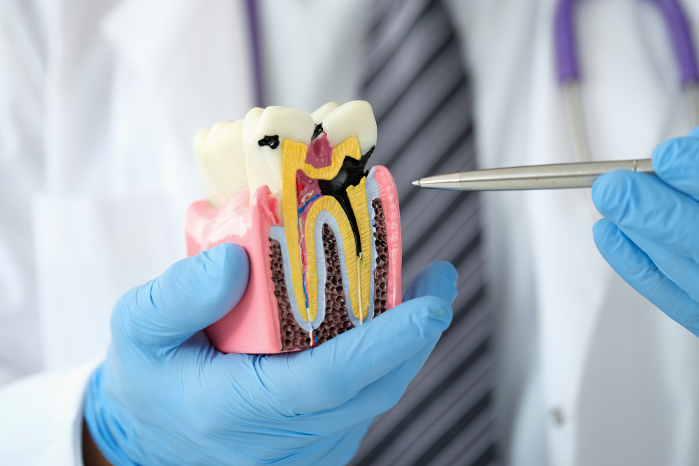 Endodontia